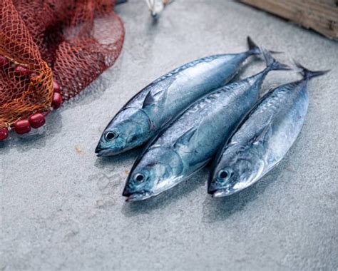 C Mo Diferenciar Pescado Azul Y Blanco Del Barco A La Mesa