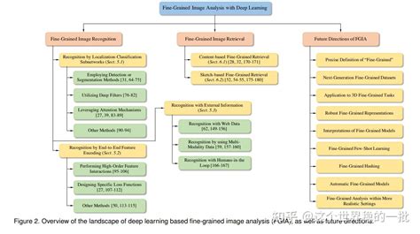 Fine Grained Image Classification