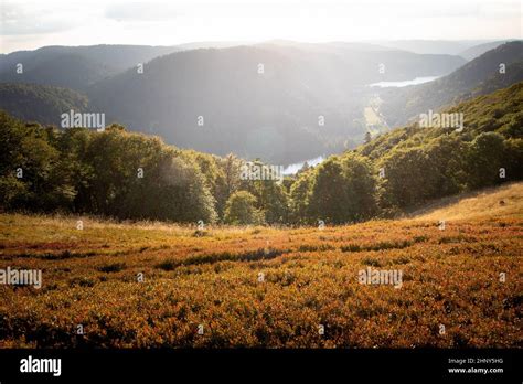 Mountain Landscape Of Xonrupt Longemer During Autumn Fall With Forest