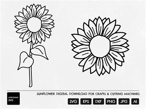 Sunflower Svg Floral Summer Svg Summer Flower Cutting File Etsy