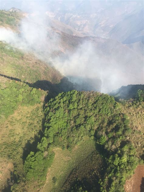 Pulso Un Incendio Forestal Avanza En La Sierra Gorda De Hidalgo