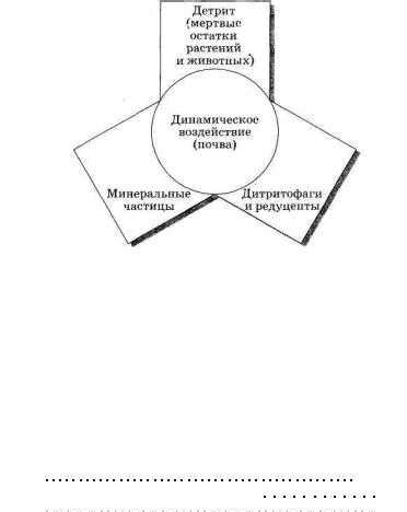 Учебник по экологии 7 – Экология животных, 7 класс, Чернова Н.М., 2007