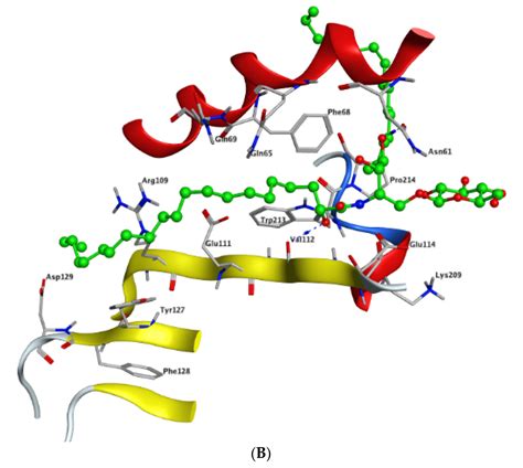 Marine Drugs Free Full Text New Cytotoxic Natural Products From The