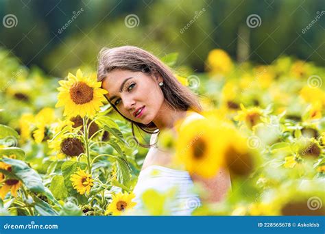 Brunette Sexy Joven Con El Pelo Largo En El Campo De Girasol En Verano Mujer Rodeada De