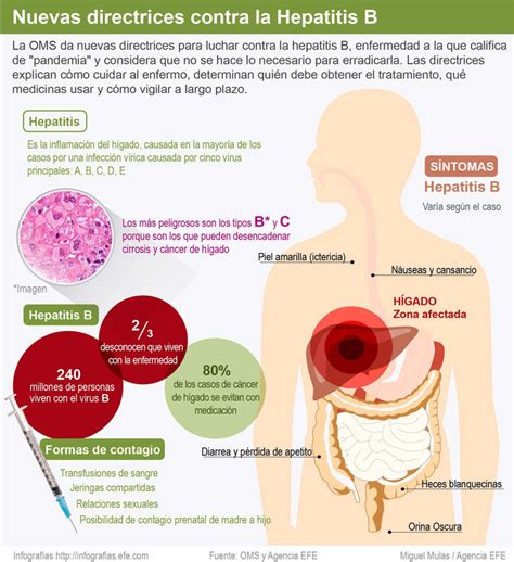 La Oms Crea Nuevas Directrices Para Luchar Contra La Hepatitis B