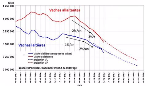 Le Cheptel Allaitant Au Plus Bas Depuis