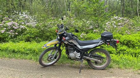 Bike Ride Yamaha Xt Old Shingle Road Bald Eagle State Forest