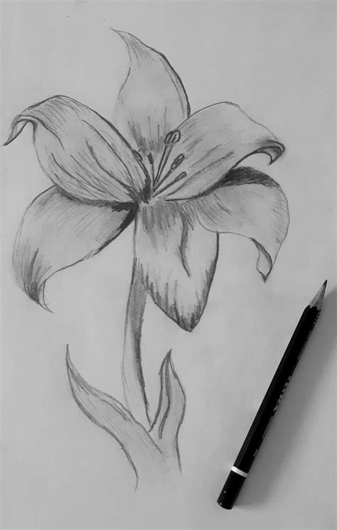 Pin Di Zeynep Su Pencil Drawing Disegni