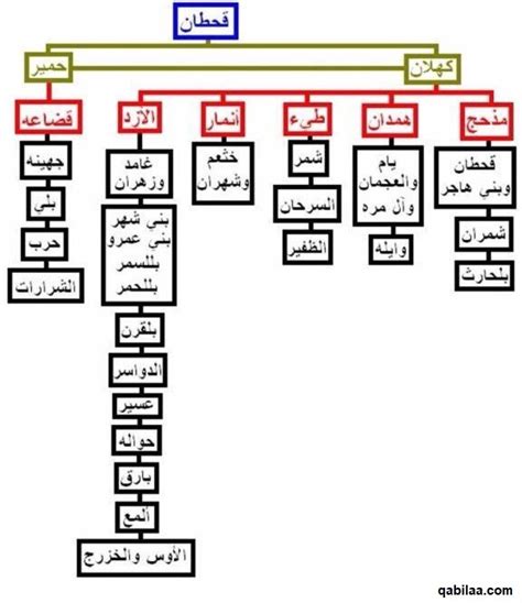 افخاذ قبائل قحطان البالغ عدد أبنائها مليون و 800 ألف موقع قبيلة