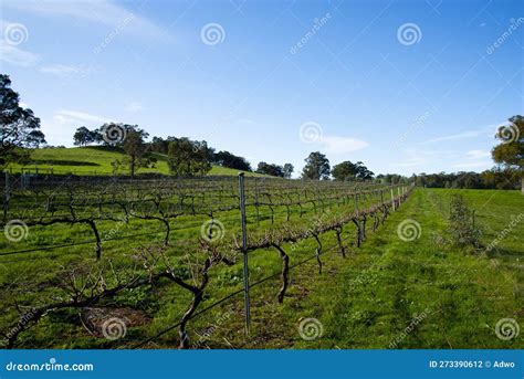 Ferguson Valley stock photo. Image of popular, trees - 273390612