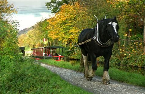 Boat Trips & Boat Hire - Pontcysyllte Aqueduct and Canal World Heritage ...