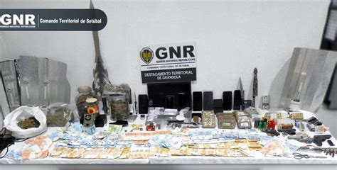 Gnr Desmantela Rede De Tráfico De Droga E Detém 13 Homens O Setubalense