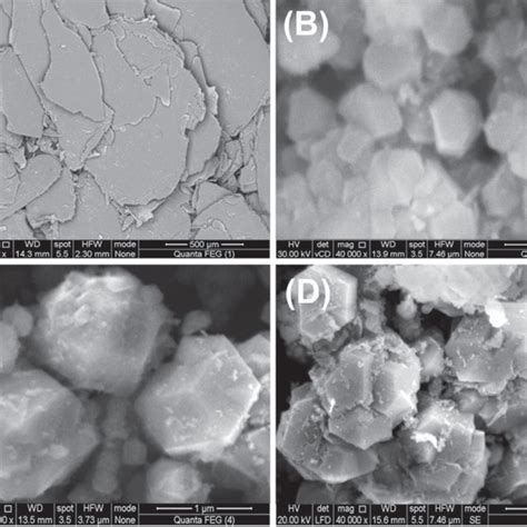 SEM Images Of Raw Muscovite A Sodalite Grains After 24 H SD 24