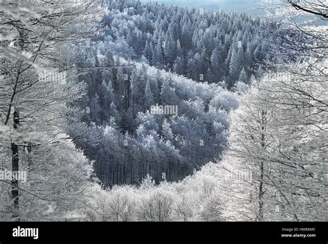 Mont Aigoual Hiver Banque De Photographies Et Dimages Haute