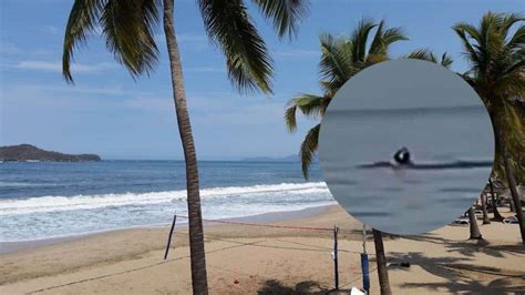 Momento Exacto Del Ataque De Tiburón A Un Turista En Playa De México