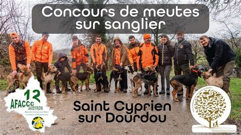 Concours De Meutes Sur Sanglier AFACCC Aveyron 2024 YouTube