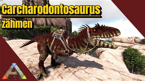 Ark Survival Evolved Carcharodontosaurus Z Hmen Solo Youtube