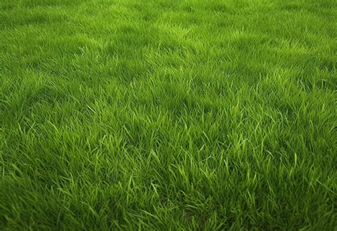 Premium Photo Lush Green Grass Texture Background