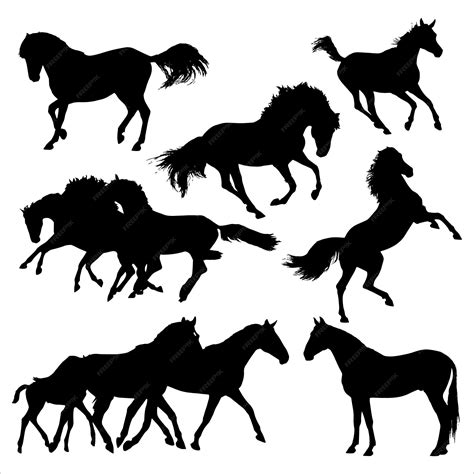 Silhouette De Chevaux Définie Illustration Vectorielle Collection De