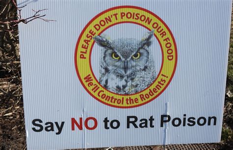 Mar 7 | Rescue Wildlife from Dangerous Rat Poisons | Waltham, MA Patch