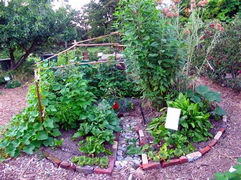 17 Mandala Garden Permaculture Ideas For This Year SharonSable