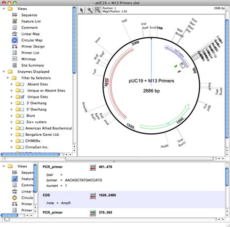 Convert Dnastar Lasergene Files To Snapgene Dna Format Snapgene