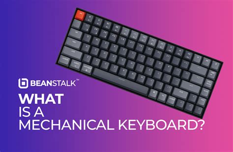 What Is A Mechanical Keyboard All You Need To Know