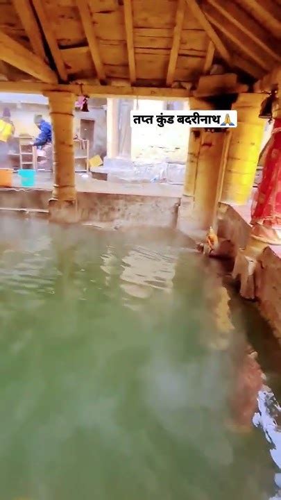 तप्त कुंड बद्रीनाथ जी🙏🙏 जय बद्री विशाल🙏 Shorts Viral Jaibadrivishal