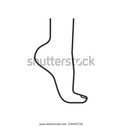 Womans Foot Standing On Tiptoe Linear Stock Vector Royalty Free