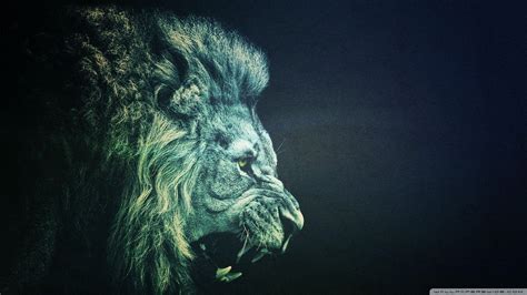 Blue Cool Lion Wallpapers - Top Free Blue Cool Lion Backgrounds - WallpaperAccess