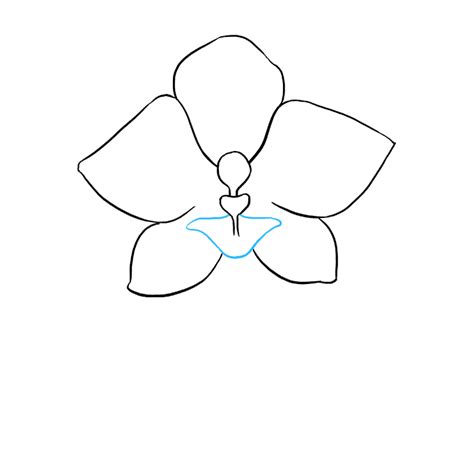 How To Draw A Beautiful Orchid Really Easy Drawing Tutorial