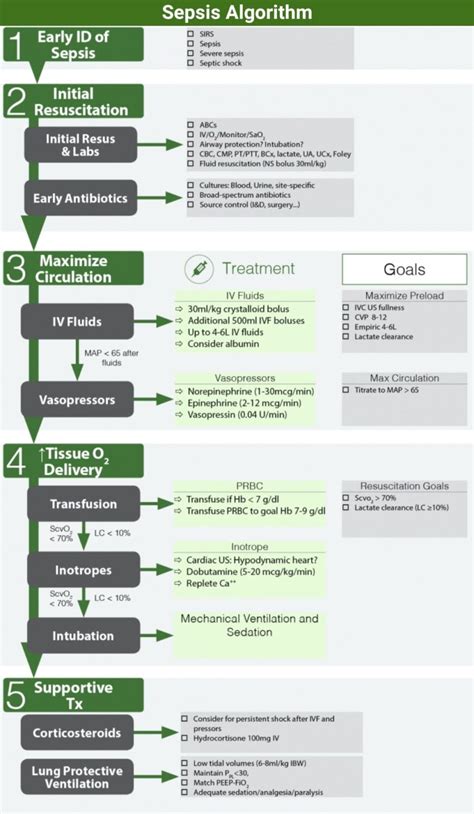 Sepsis Algorithm And Differential Diagnosis Manual Of Medicine