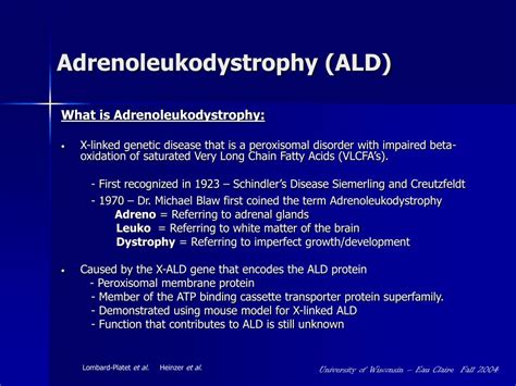 Ppt Adrenoleukodystrophy Powerpoint Presentation Free Download Id