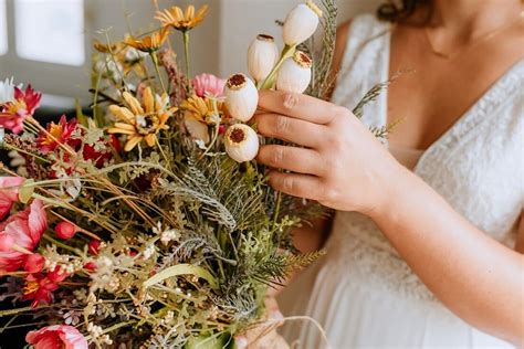 Descubre la belleza natural cómo ver plantas de interior y embellecer