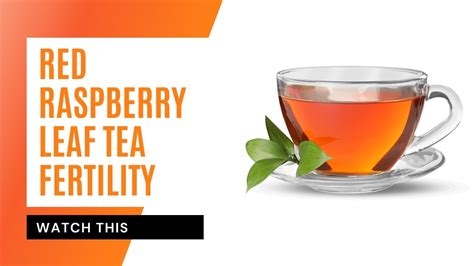 🆕red Raspberry Leaf Tea Fertility Does Red Raspberry Leaf Tea Work To