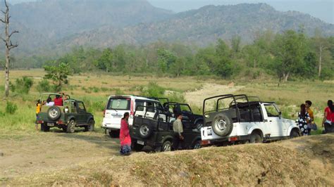 Our Guests | Safari Tours of Rajaji National Park