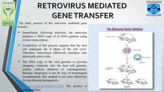 RETROVIRUS MEDIATED GENE TRANSFER AND EXPRESSION CLONING | PPT