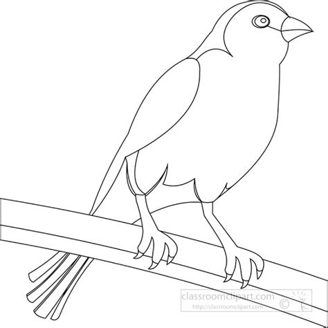 Animal Outline Clipart-yellow canary bird black white outline clipart