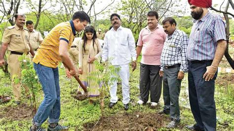 Maharashtra Sets Itself An Ambitious Target 50 Crore More Trees In