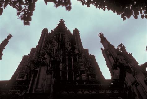 Ulm Minster - Larry Speck