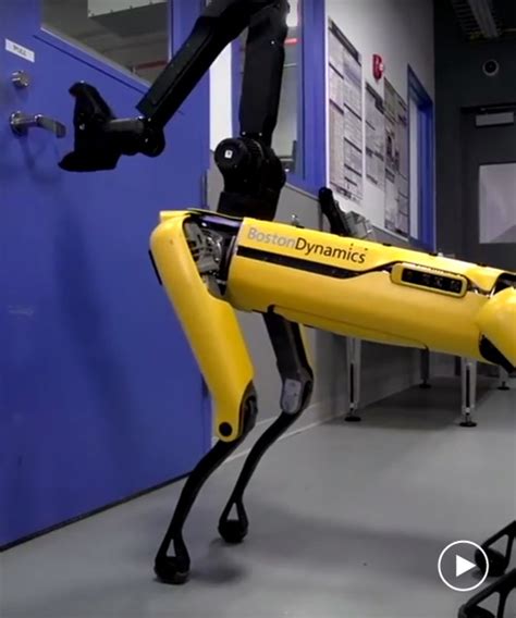 Boston Dynamics Robot Dog Has Learned How To Open Doors