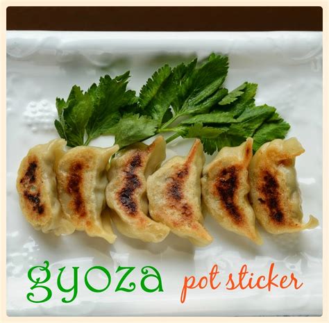 Indonesian Medan Food Cara Membuat Gyoza How To Make Gyoza