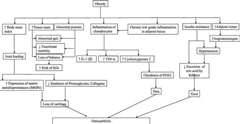 The Multiple Consequences Of Obesity Intechopen