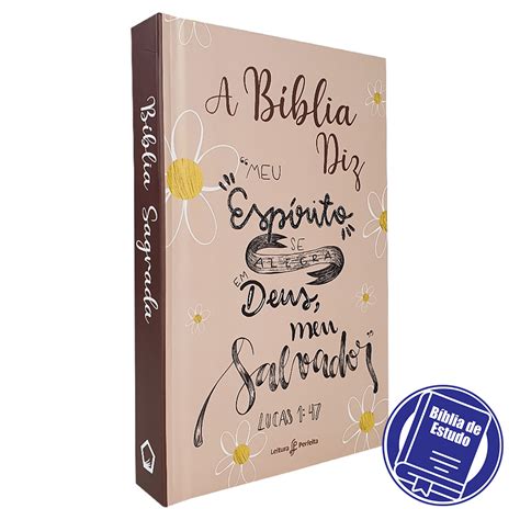 Kit Bíblia de Estudo Diz NVI Lettering Café Deus Pai