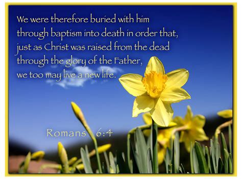 Romans 64 We Were Therefore Buried With Him Through Baptism