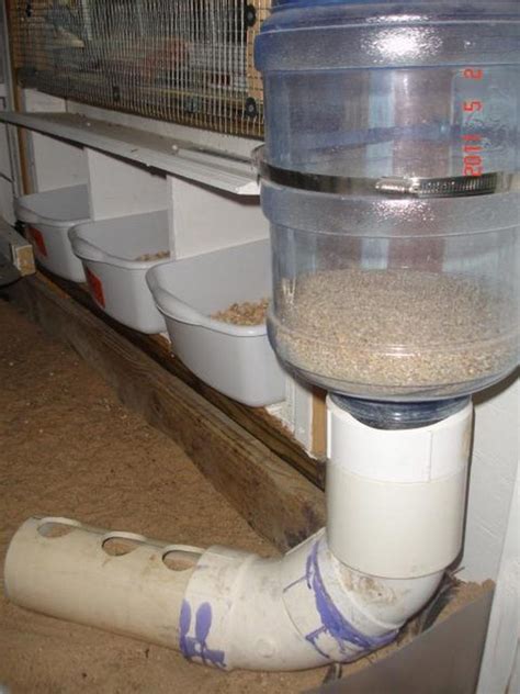 Diy Chicken Waterers And Feeders / How To Make An Automatic Chicken ...