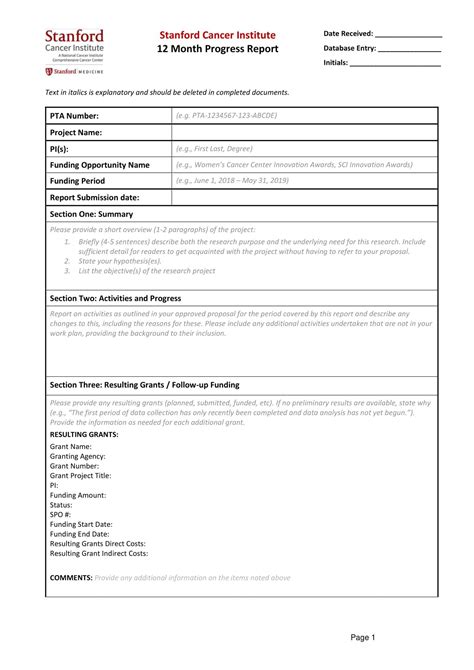 Free Printable Progress Report Templates Word Excel Pdf