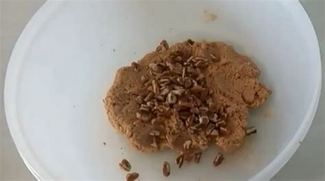 Receta De Galletas De Nuez Sin Harina Recetas F Ciles Y Sencillas