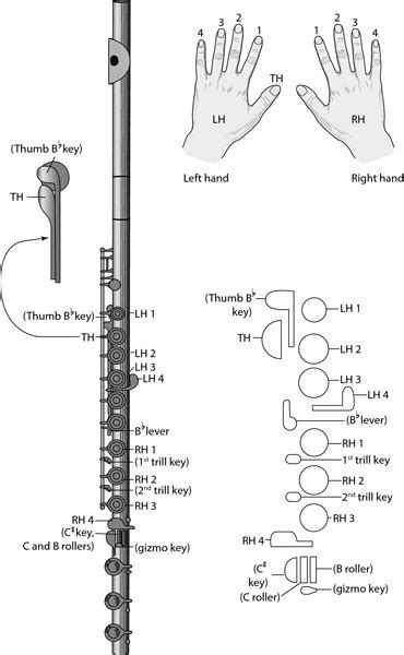 How to set up and play - The Flute