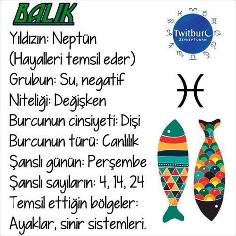 Bal K Burcu Zellikleri Bal K Burcu Metin Mesajlar Bur Lar